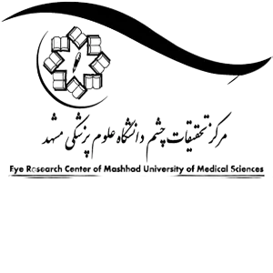 حامی