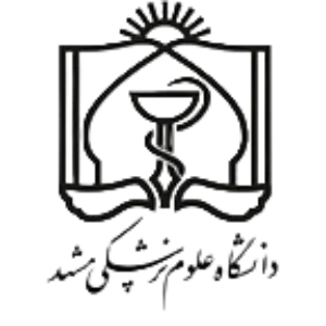 حامی